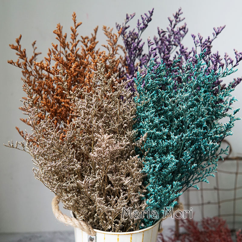 Eucalyptus Preserved - 50g/Flor de Limonium Preservada para San