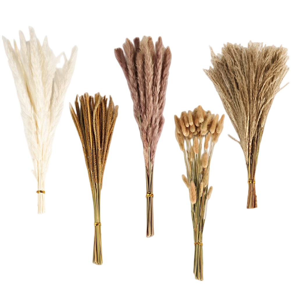 Eucalyptus Preserved - Ramo de Flores Secas Mixtas Vintage