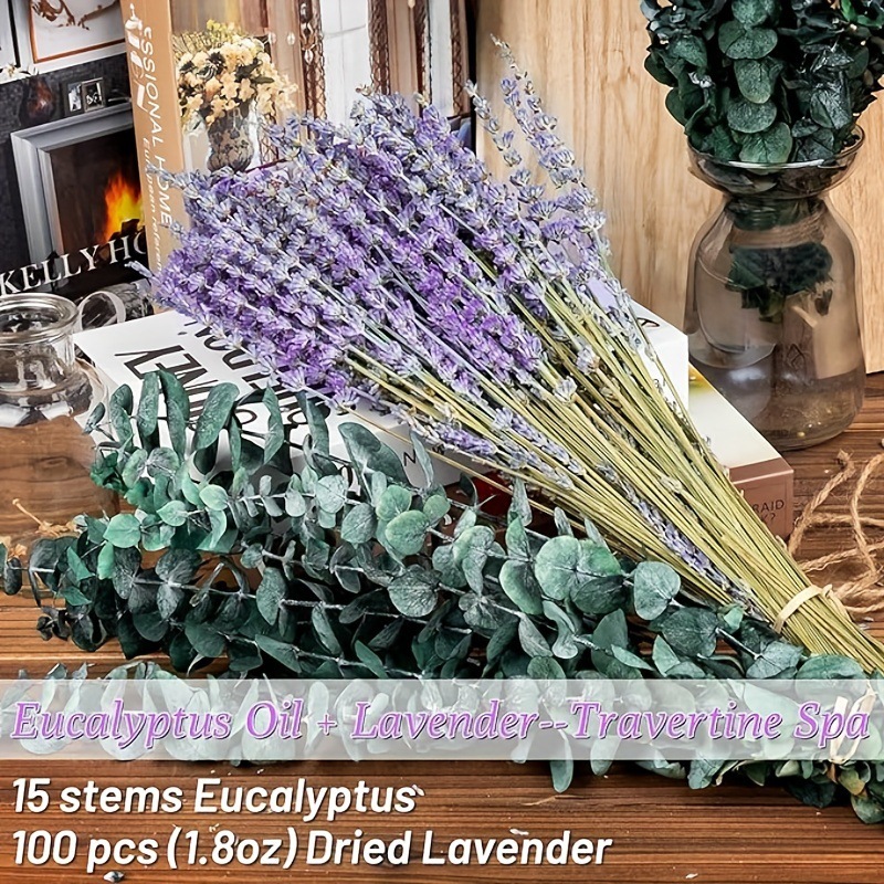 Eucalyptus Preserved - Ramo Seco de Lavanda y Eucalipto