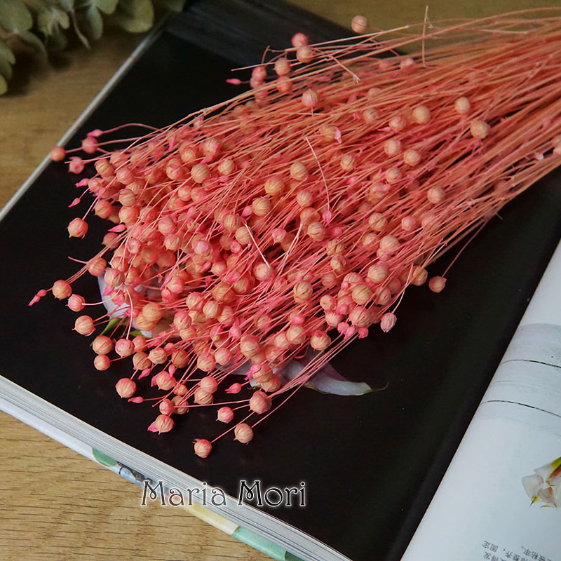 35g/Ormosia Hosiei conservada  - Eucalyptus Preserved reseña y precio