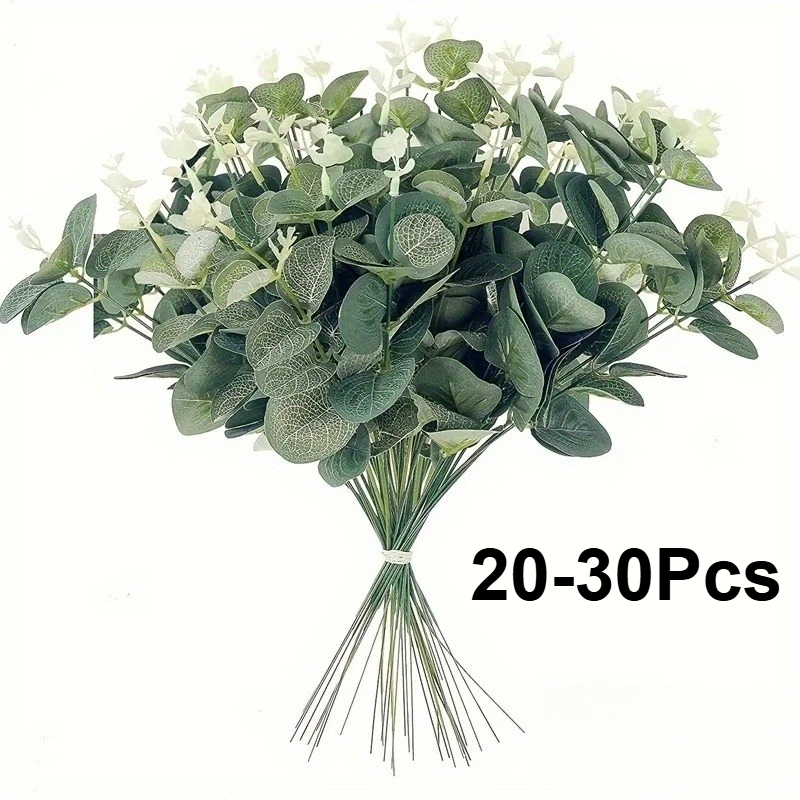 20 o 30 piezas de tallos de ho - Eucalyptus Preserved reseña y precio