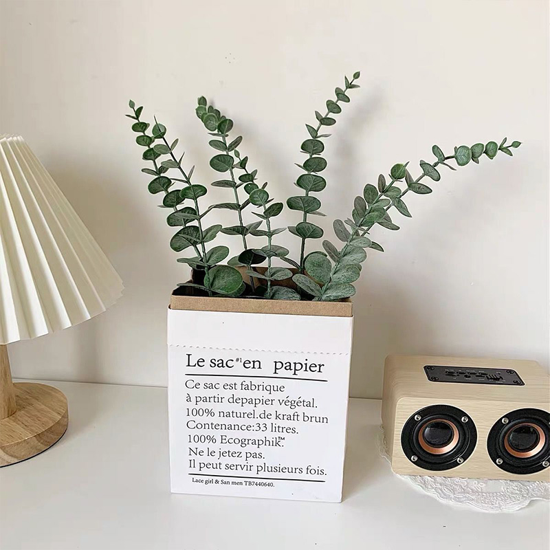 20 piezas tallos de eucalipto  - Eucalyptus Preserved reseña y precio