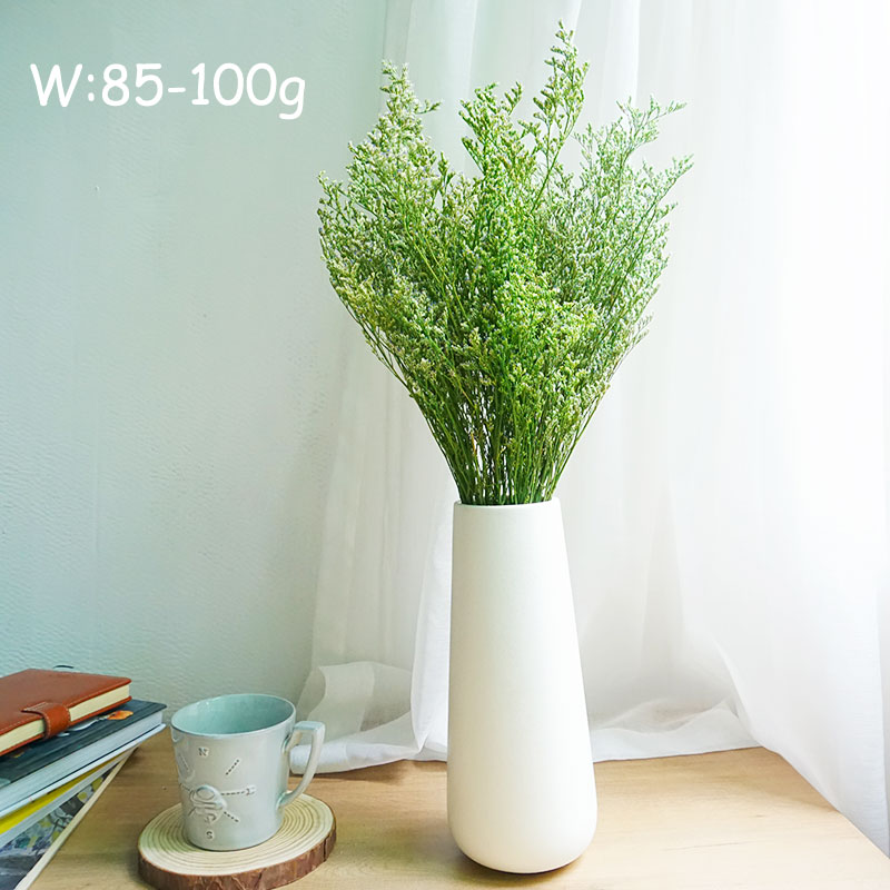 50g/Flor de Limonium Preservad - Eucalyptus Preserved reseña y precio