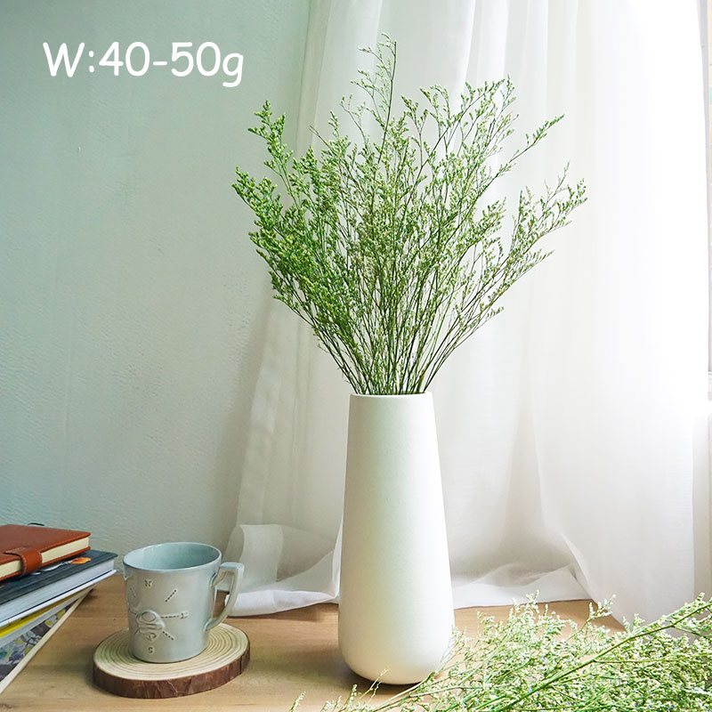 50g/Flor de Limonium Preservad - Eucalyptus Preserved reseña y precio