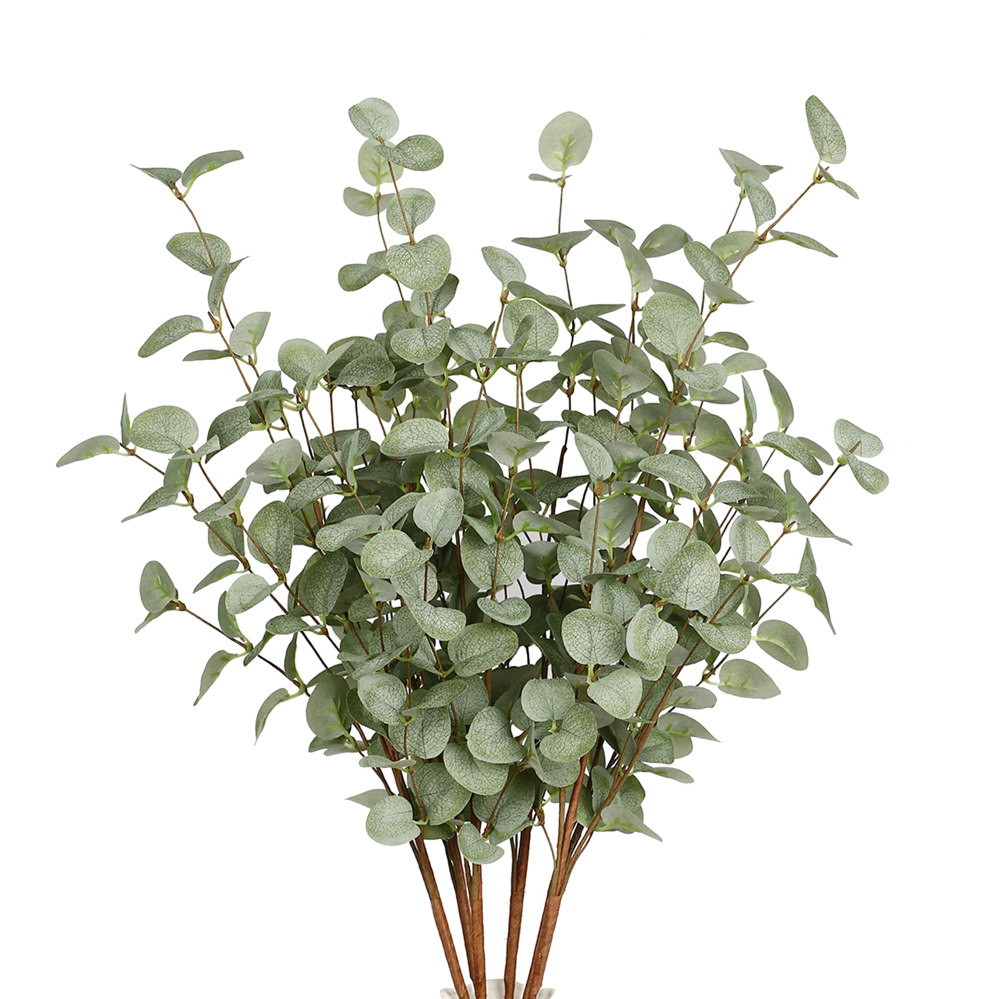 Tallos de eucalipto de imitaci - Eucalyptus Preserved reseña y precio