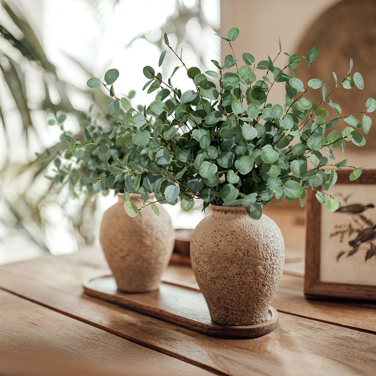 Tallos de eucalipto de imitaci - Eucalyptus Preserved reseña y precio