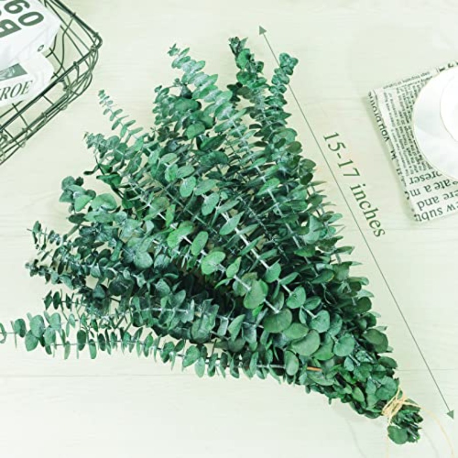 20 Piezas de Tallos de Eucalip - Eucalyptus Preserved reseña y precio