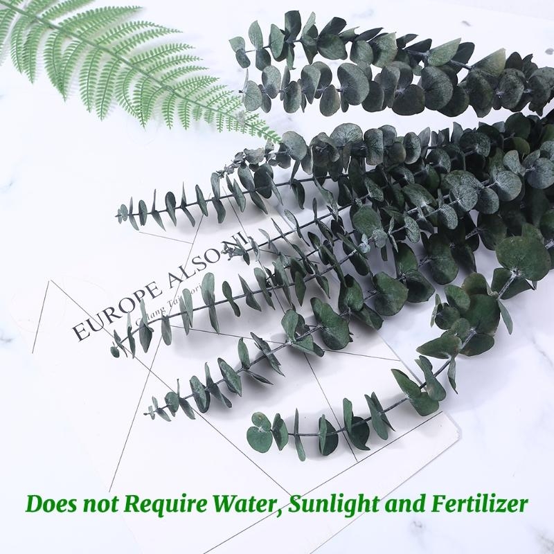20 piezas conservadas para ram - Eucalyptus Preserved reseña y precio