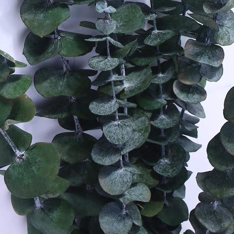 20 piezas conservadas para ram - Eucalyptus Preserved reseña y precio