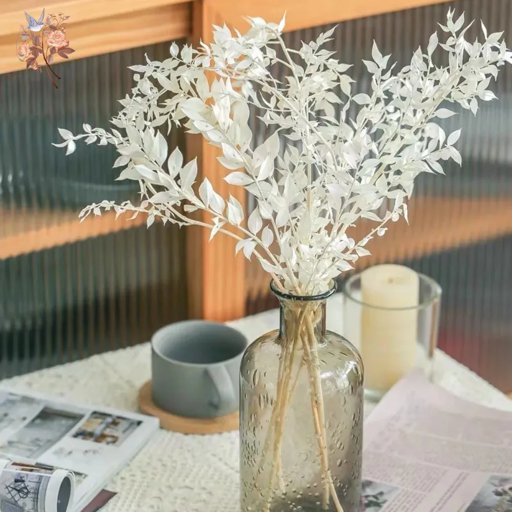 Ramo de Hojas de Eucalipto Rus - Eucalyptus Preserved reseña y precio