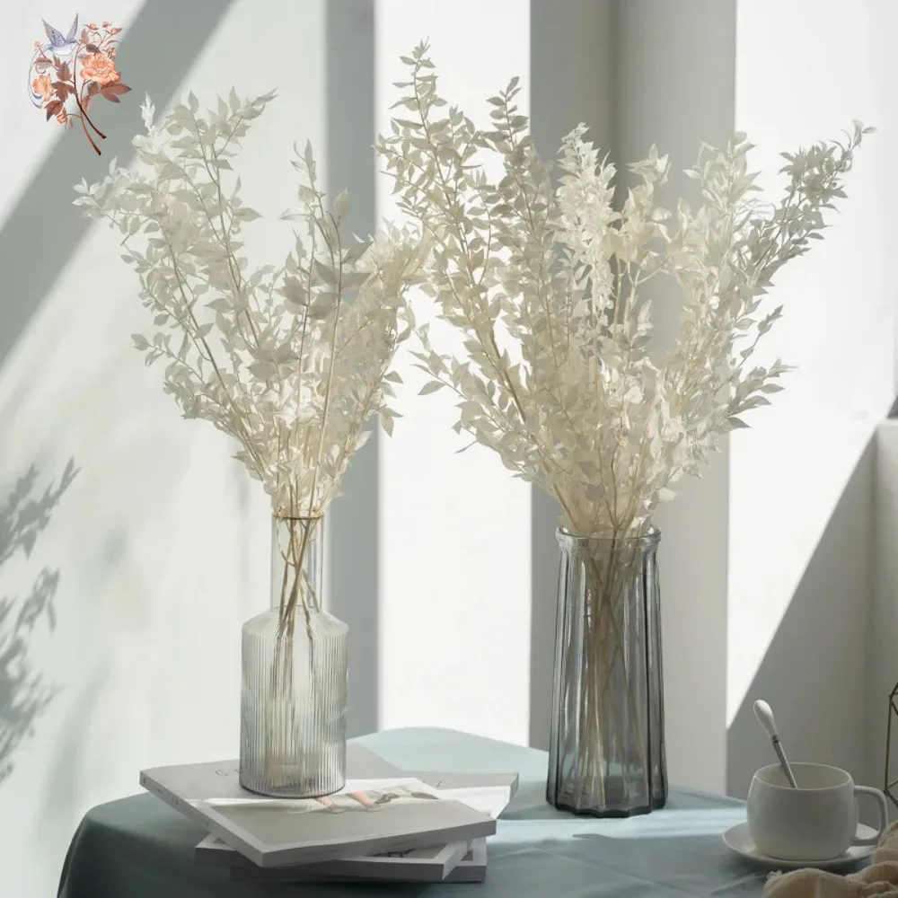 Ramo de Hojas de Eucalipto Rus - Eucalyptus Preserved reseña y precio