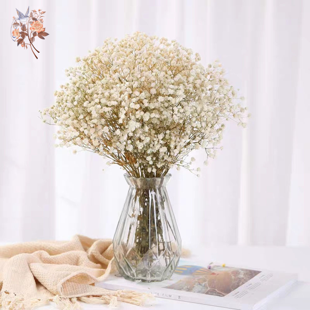 Ramo de flores secas para el a - Eucalyptus Preserved reseña y precio
